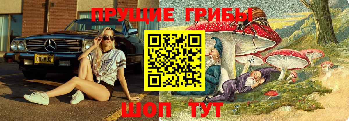 Сорочинск  купить наркоту  Вход с VPN  Псилоцибиновые грибы GOLDEN TEACHER 